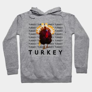 wkrp turkey drop shirt Hoodie